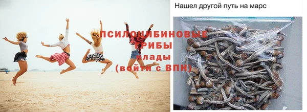бошки Абаза