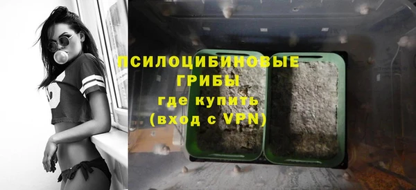 бошки Абаза