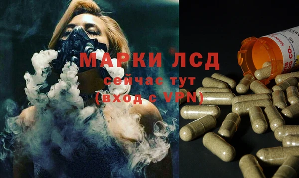 бошки Абаза