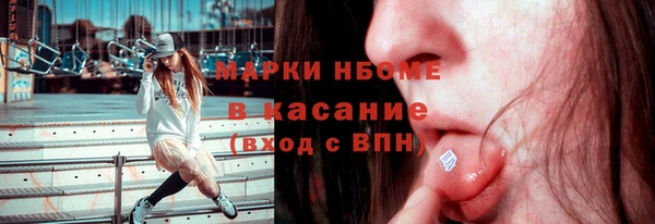 молекула духа Медвежьегорск