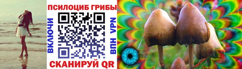 гидра зеркало  Староминская  Галлюциногенные грибы Cubensis 